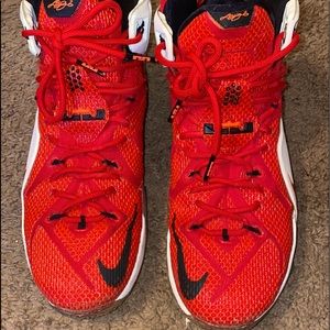 *SOLD* Lebron XII’s Heart of a Lion